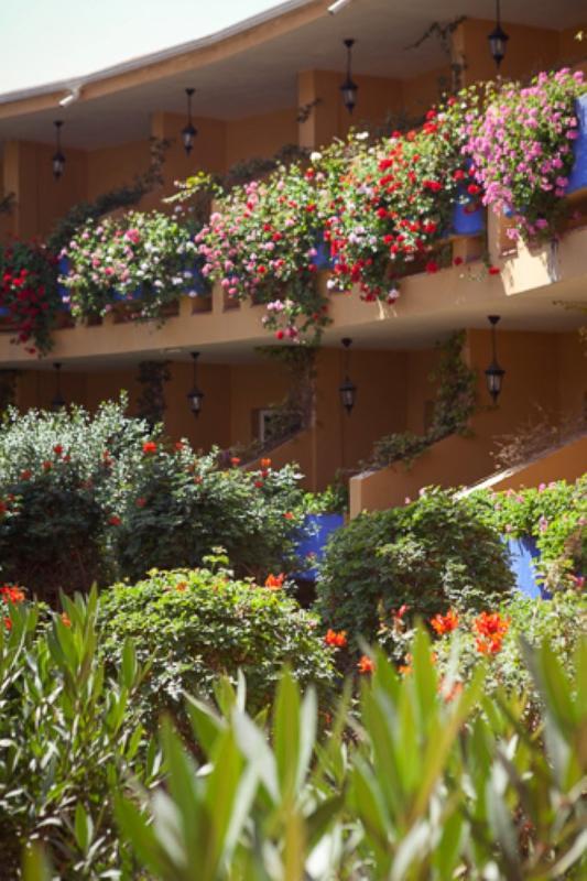 Club Drago Park Hotel Costa Calma